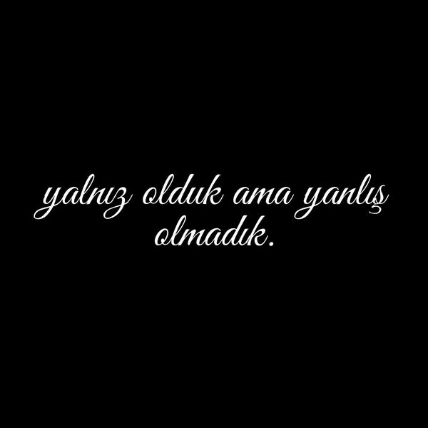 Yalniz olduk ama yanlis olmadik